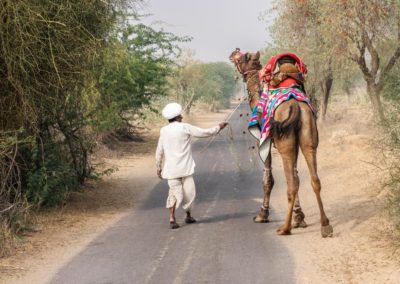 Camel Ride