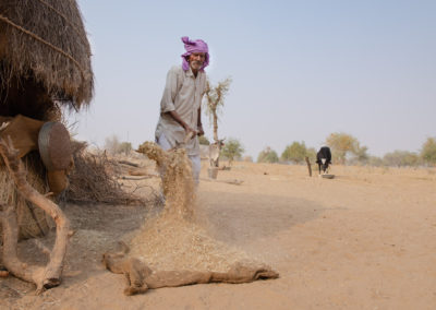 Local Farmers