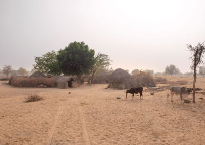 Dhundhara's local dwellings